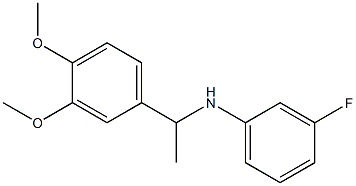 N-[1-(3,4-dimethoxyphenyl)ethyl]-3-fluoroaniline 구조식 이미지