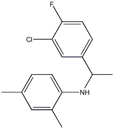 N-[1-(3-chloro-4-fluorophenyl)ethyl]-2,4-dimethylaniline Structure