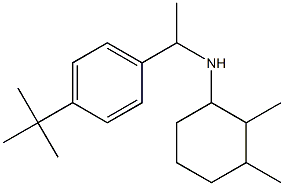 N-[1-(4-tert-butylphenyl)ethyl]-2,3-dimethylcyclohexan-1-amine Structure