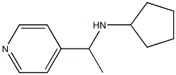 N-[1-(pyridin-4-yl)ethyl]cyclopentanamine Structure