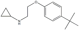 N-[2-(4-tert-butylphenoxy)ethyl]cyclopropanamine Structure