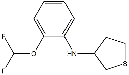 N-[2-(difluoromethoxy)phenyl]thiolan-3-amine 구조식 이미지