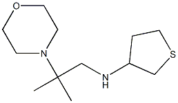 N-[2-methyl-2-(morpholin-4-yl)propyl]thiolan-3-amine 구조식 이미지