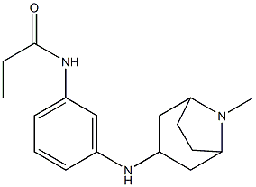 N-[3-({8-methyl-8-azabicyclo[3.2.1]octan-3-yl}amino)phenyl]propanamide Structure