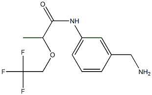 N-[3-(aminomethyl)phenyl]-2-(2,2,2-trifluoroethoxy)propanamide 구조식 이미지