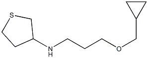 N-[3-(cyclopropylmethoxy)propyl]thiolan-3-amine Structure