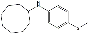 N-[4-(methylsulfanyl)phenyl]cyclooctanamine 구조식 이미지