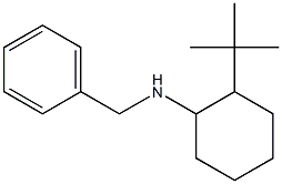 N-benzyl-2-tert-butylcyclohexan-1-amine 구조식 이미지