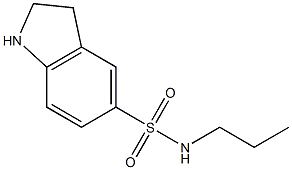 N-propyl-2,3-dihydro-1H-indole-5-sulfonamide Structure