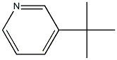 3-tert-butylpyridine Structure