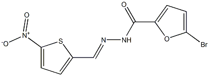 5-bromo-N'-[(E)-(5-nitro-2-thienyl)methylidene]-2-furohydrazide 구조식 이미지