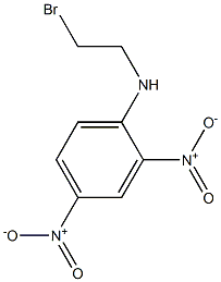 N-(2-Bromoethyl)-2,4-dinitroaniline 구조식 이미지
