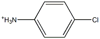 4-Chlorobenzenaminium 구조식 이미지