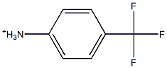 p-Trifluoromethylanilinium Structure