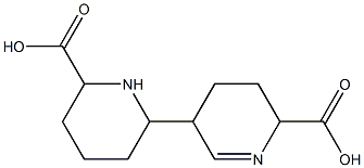 1,2,3,3',4,4',5,5',6,6'-Decahydro[2,3'-bipyridine]-6,6'-dicarboxylic acid Structure