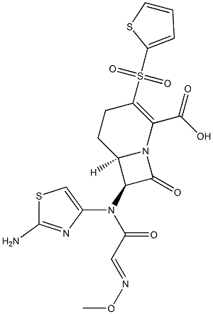 (6R,7S)-3-((2-Thienyl)sulfonyl)-8-oxo-7-[(2-aminothiazol-4-yl)(methoxyimino)acetylamino]-1-azabicyclo[4.2.0]oct-2-ene-2-carboxylic acid 구조식 이미지