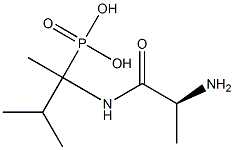 [2-(L-Alanylamino)-3-methylbutan-2-yl]phosphonic acid 구조식 이미지