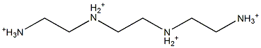 N,N''-Ethylenebis(1,2-ethanediaminium) Structure