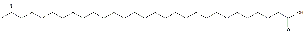 [S,(+)]-28-Methyltriacontanoic acid 구조식 이미지