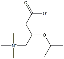 DL-Carnitine isopropyl ester Structure