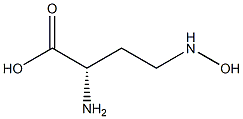 (S)-4-(Hydroxyamino)-2-aminobutyric acid 구조식 이미지