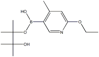 6-Ethoxy-4-methylpyridine-3-boronic acid pinacol ester Structure