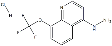 4-Hydrazino-8-trifluoromethoxyquinoline Hydrochloride Structure