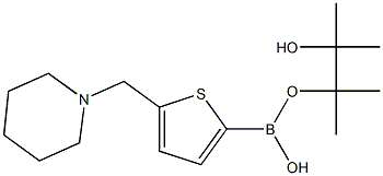 5-(Piperidinomethyl)-2-thiopheneboronic acid pinacol ester 구조식 이미지