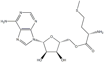 Adenosine methionine 구조식 이미지