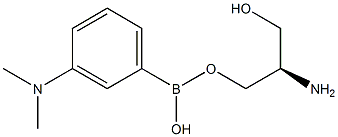 3-(N,N-dimethylamino)phenylboronic acid sterol ester 구조식 이미지