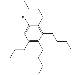 Tetrabutylphenol Structure