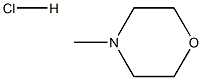 N-methylmorpholine hydrochloride Structure