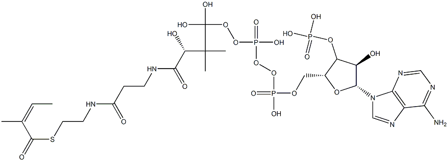 [(2R,3R,4R,5R)-5-(6-aminopurin-9-yl)-4-hydroxy-2-[[hydroxy-[hydroxy-[3-hydroxy-2,2-dimethyl-3-[2-[2-[(Z)-2-methylbut-2-enoyl]sulfanylethylcarbamoyl]ethylcarbamoyl]propoxy]phosphoryl]oxy-phosphoryl]oxymethyl]oxolan-3-yl]oxyphosphonic acid Structure