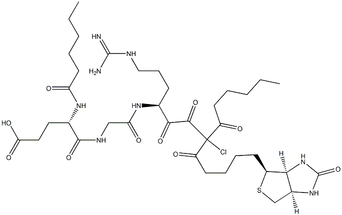 biotinyldicaproyl-glutamyl-glycyl-arginyl-chloromethylketone 구조식 이미지