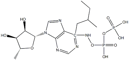 N(6)-(2-methylbutyl)adenosine diphosphate Structure