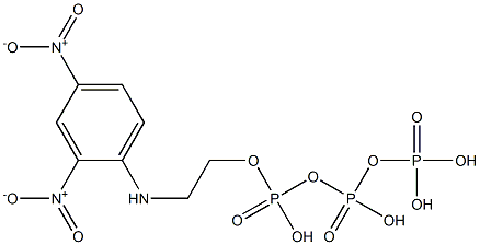 2-((2,4-dinitrophenyl)amino)ethyl triphosphate 구조식 이미지