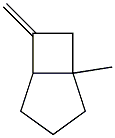 1-methyl-6-methylidene-bicyclo[3.2.0]heptane Structure