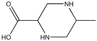 2-METHYL-5-PIPERAZINECARBOXYLIC ACID Structure