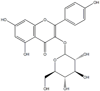 KAEMPFEROL-3-GLUCOSIDE 97 % 구조식 이미지