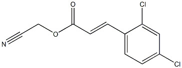 cyanomethyl (E)-3-(2,4-dichlorophenyl)-2-propenoate Structure