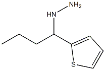 1-(1-(thiophen-2-yl)butyl)hydrazine Structure