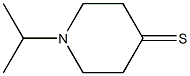 1-isopropylpiperidine-4-thione 구조식 이미지