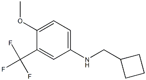 N-(cyclobutylmethyl)-3-(trifluoromethyl)-4-methoxybenzenamine Structure