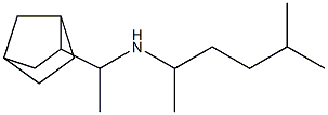 (1-{bicyclo[2.2.1]heptan-2-yl}ethyl)(5-methylhexan-2-yl)amine Structure