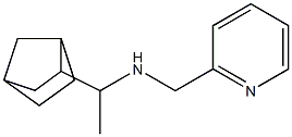 (1-{bicyclo[2.2.1]heptan-2-yl}ethyl)(pyridin-2-ylmethyl)amine Structure