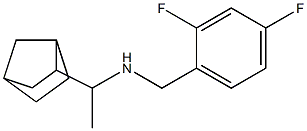 (1-{bicyclo[2.2.1]heptan-2-yl}ethyl)[(2,4-difluorophenyl)methyl]amine Structure