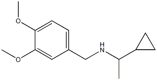 (1-cyclopropylethyl)[(3,4-dimethoxyphenyl)methyl]amine Structure