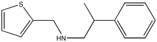 (2-phenylpropyl)(thiophen-2-ylmethyl)amine Structure
