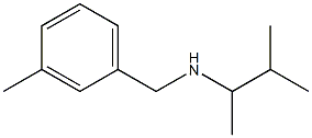 (3-methylbutan-2-yl)[(3-methylphenyl)methyl]amine 구조식 이미지