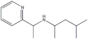 (4-methylpentan-2-yl)[1-(pyridin-2-yl)ethyl]amine Structure